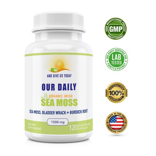 Our Daily Vites Sea Moss Capsules 1500mg (2 Pack) - Wildcrafted Irish Sea Moss Bladderwrack and Burdock Root Superfood Blend - Immune System, Gut Health & Thyroid Support - 240 Vegetarian Capsules