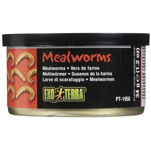 Exo Terra Specialty Reptile Food, Canned Mealworms for Reptiles, PT1958