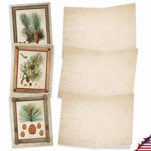 The Best Card Company - 10 Boxed Note Cards Blank (4 x 5.12 Inch) - Bulk Assorted Cards, Vintage Pictures - Pining for You M6462OCB