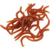 OriGlam 20pcs Bass Fishing Worms, Soft Plastic Worms, Drop Shot Worms, Soft Plastic Baits, Bass Fishing Lures, Worms Soft Stickbaits, Soft Worm Lures, Fresh Water Fishing Bait