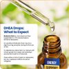 BioMatrix DHEA Liquid Hormone Supplement for Adrenal, Brain, Heart, Bone | Micronized and Liquified for Maximum Absorption, Precision Dosing, Efficacy DHEA (30 ML, 1200mg Total)