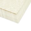 Best Paper Greetings 96 Sheets Parchment Paper for Certificates, Resumes, Diplomas, 90 GSM Textured Stationary, Printer-Friendly (Ivory, 8.5 x 11 In)