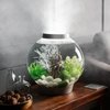 AGPTEK Mist Maker Witch Cauldron Fog Maker for Halloween/Christmas Party Water Fountain Pond Rockery Fishtank