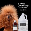 iGroom Charcoal Keratin Dog Conditioner, Luxury Pet Beauty Care, Repairs Enhances Adds Moisture, Made in USA, Summer Fig, 16oz