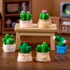 Pinenjoy 12Pcs Mini Cactus Figurines Miniature Potted Plants Resin Succulent Plant Cake Topper for DIY Dollhouse Fairy Garden Bonsai Micro Landscape Decors