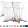 WLOSJ 100% Silk Pillow Cases 2 Pack Queen Size Mulberry Silk Pillowcase for Hair and Skin Set of 2 Highest Grade 6A Silk Soft Breathable Cooling with Hidden Zipper, White