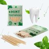 600 Pcs Mint Toothpicks Bulk Flavor Menthol Toothpicks Wood Flavored Toothpicks for Adults Natural Wooden Tooth Pick for Humans Teeth Oral Dental Health