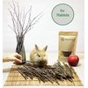 ECOVENIK Apple Sticks 120 gram Rabbit & Hamster Chew Toys - 100% Natural & Organic Chinchilla Food, Treats for Guinea Pig, Squirrels, Parrots & Other Small Animals (Made in Ukraine)