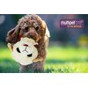Multipet Lamb Chop Head Knobby Noggins Dog Ball Toy Size 5"