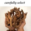 Hamiledyi Aquarium Driftwood,Natural Coral Wood,Fish Tank Driftwood Assorted Branches Reptile Tank Decor Aquarium Decoration(3.5-7in 5Pcs)
