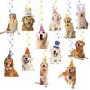 24 Pcs Golden Retriever Hanging Decorations Golden Retriever Hanging Swirls Ceiling Swirls Golden Retriever Birthday Party Supplies for Golden Retriever Party Decorations Dog Decorations