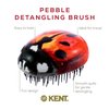 Kent PBUG Ladybug Pebble Scalp Massager Shampoo Brush, Shower Brush, and Travel Size Detangling Brush - Scalp Scrubber for Dandruff and Kids Hair Brush Hair Detangler - Hairbrush for Tangles