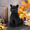 HyDren 13 Inch Valentine's Day Black Cat Stuffed Animal Black Cat Plush Toy Realistic Cute Cat Stuffed Animal Gift Kawaii Black Cat Plushies for Kids Birthday Party Favors Home Room Nursery Car Decor
