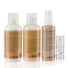 MOEHAIR Hair Care Travel Kit - Bond Treatment, Seal Serum, Leave-In Conditioner | Hair Lightening and Coloring Treatment