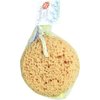 Paradiso Foam Sea Sponge with Suction Cup
