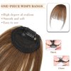 BUPPLER Clip in Bangs 100% Real Human Hair Pieces Medium Brown Fake Bangs Hair Clip on bangs for women Faux Bangs Clip in Hair Extensions with Hair Roller for Daily Wear(4.5 * 6 Inch, Medium Brown)
