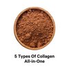 Codeage Multi Collagen Peptides Protein Powder, Chocolate Mocha Instant Coffee - Low Calories Drink & Shake - Collagen Type I, II, III, V & X - Grass-Fed, Pasture-Raised, Hydrolyzed, Non-GMO - 14.39oz