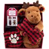 Holiday Time 4 Set Dogs Accessories - Throw Blanket (30 in.x 40 in.), Bandana and 2 Squeaky Toys, red, brown