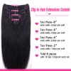 Straight Human Hair Clip in Hair Extensions for Black Women 100% Unprocessed Full Head Brazilian Virgin Hair Natural Black Color,8/Pcs with 18Clips,120 Gram (24inch, Straight hair)
