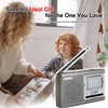 XHDATA D219 Portable AM FM Shortwave Radio Battery Operated Small Great Reception Radio with Good Sound,Earphone Jack for Gift Elder,Home,Child [Sliver]
