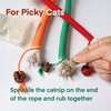 Yomvwavo Kitten Toys, Cat Chew Toy for Indoor Cats, Catnip Toys for Teeth Cleaning, Interactive Cat Nip Teething Rope Toys for Cats Kitty, 3 Pack (Include 1 Pack of Catnip)