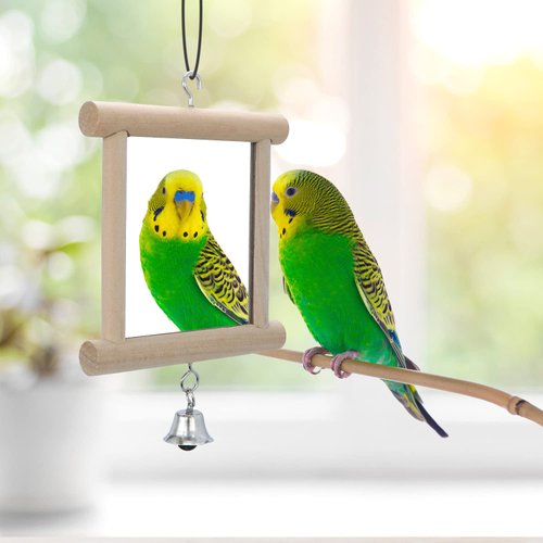 Wontee 4 PCS Bird Mirror with Bell Parrot Hanging Interactive Playing Toy for Cockatiel Parakeets Canaries Budgie Cage Accessories