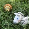 HABA Little Friends Zebra - 4" Chunky Plastic Zoo Animal Toy Figure