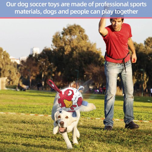 QDAN Dog Toys Soccer Ball with Straps, Outdoor Dog Toys, Puppy Birthday Gifts, Dog Water Toy, Durable Dog Balls for Small Medium Dog (6 Inch)
