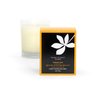 Gift Box Aromatherapy Candles Coconut Wax with Real Essential Oils 6 Ounce (Lavender & Orange Blossom)