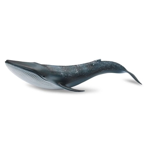 Wei Long Sea Animals Simulation Ocean Whale Toy Model Figures Toy Model Birthrday Gift Party School Project Favors Toys for Kid Boys Girls(Blue Whale)