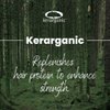 ORGANIC KERATIN TREATMENT - SALT & SULFATE FREE SHAMPOO - 32oz by KERARGANIC