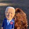 Happy Creatures - Joe Biden Squeaky Parody Dog Toy, Natural Rubber Latex, 8.75" Tall