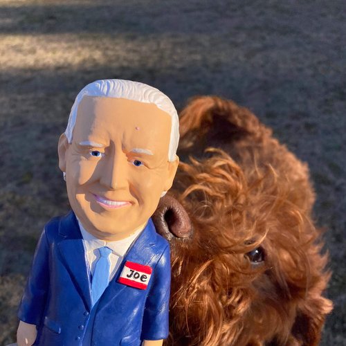 Happy Creatures - Joe Biden Squeaky Parody Dog Toy, Natural Rubber Latex, 8.75" Tall