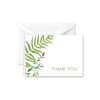 Paper Frenzy Elegant Ferns Thank You Note Cards and Envelopes - 25 pack