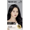 SQUID INK HAIR COLOR CREAM 100g+100g(BLACK N1)