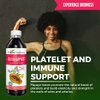 Papaya Leaf Blood Support Liquid - 15X Strength - Papaya Leaf Extract - Healthy Platelets, Blood Cleanse, Digestion, Papaya Enzyme -12oz Liquid - Herbal Goodness (1 bttl)