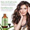 Rosemary Oil for Hair Growth, Rosemary Essential Oil, 100% Pure Natural, Reduce Hair Loss, Deeply Nourishing Scalp, Improves Blood Circulation