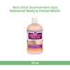 Best Shot Scentament Spa Seasonal Body and Facial Wash, Tearless Shampoo, Hypoallergenic Body Wash, Removes Tear Stains, Tropical Breeze, 16 Oz.