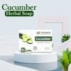 HERBOGANIC Cucumber Herbal Soap | Natural Bar Soap for Face and Body | Nourishing and Revitalizing | Gentle for Men and Women| 5 Oz (Pack of 3)…