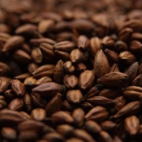 Crisp Pale Chocolate Malt - 1 LB, Uncrushed