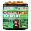 Vet TREAT's Dog Allergy Relief Chews - 170 Dog Allergy Chews - Itch Relief for Dogs - Anti Itch for Dogs - Dry & Itchy Skin - Allergies & Immune Support Supplement, Omega 3 Fish Oil, Probiotics - USA