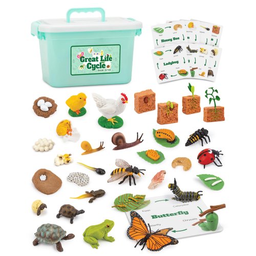 Life Cycle Science Kit Montessori Realistic Figurine, Kids Animal Matching Game with Frog, Ladybug and More Includes 32-Piece, Fun Learning Education Toys Stocking Stuffers for Children 3 4 5 6 7 8