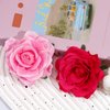 Tropical Hawaiian Hair Clips Set - 3Pcs Rose and Artificial Flower Clips for Women, Wedding, Summer Beach, Luau Party - 4 Inch