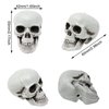 Honbay 6PCS Mini Halloween Skulls Decoration Plastic Fake Skeleton Head Table Decor Prank Props for Halloween Craft Party Favors
