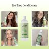 Tea Tree Conditioner for Dry Hair - Tea Tree Oil Conditioner for Oily Hair and Sulfate Free Conditioner for Dry Hair - Cleansing Conditioner and Tea Tree Dry Scalp Care with Tea Tree Oil for Hair