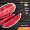 Maxler 100% Golden BCAA Powder - Intra & Post Workout Recovery Drink for Accelerated Muscle Recovery & Lean Muscle Growth - 6 g Vegan BCAAs Amino Acids - 60 Servings - Watermelon