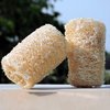 HealthGoodsIn - Organic Loofa Natural Bath Sponge, Set of 2 Exfoliating Bath Sponge Scrubber | Naturally Grown Loofah (Set of 2)
