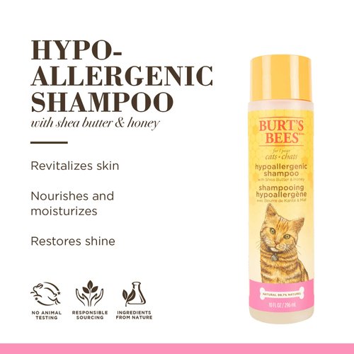 Burt's Bees for Pets Hypoallergenic Cat Shampoo with Shea Butter & Honey - Moisturizing Grooming Pet Shampoo for Cats with Sensitive Skin, Cat Cleaning Supplies, 10 Fl Oz