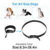 Dog Collar Strap for Most of Electronic Training Collar Receivers-Adjustable Durable Waterproof Odorless 3/4 Inch Collar Replacement for Barking Fence-Pet TPU Collar Strap
