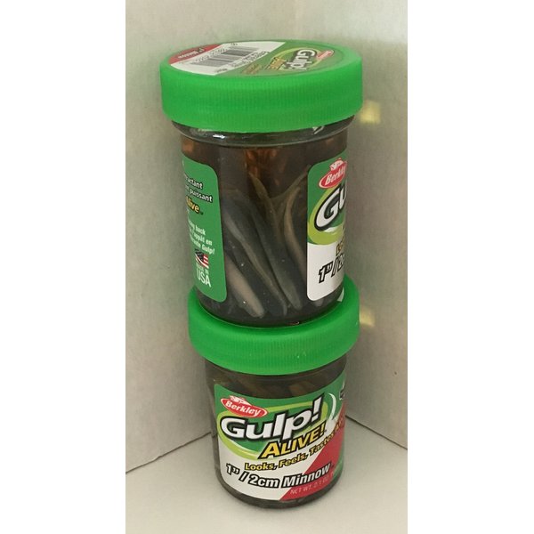 GULP ALIVE Bait 1 INCH Emerald Shiner Minnow 2 jar Bundle Berkley gulp Alive Perch Minnows ice Fishing Bait Panfish Minnow